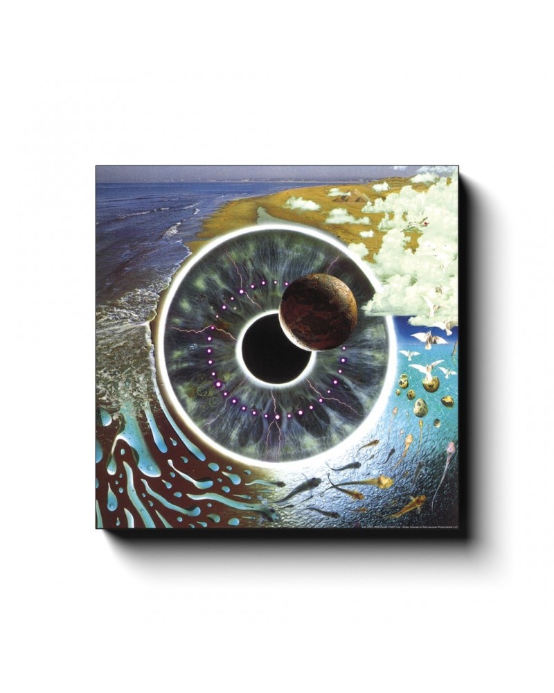 Pink Floyd Wall Art | Pulse Album Cover Canvas Wrap $15.98 Decor