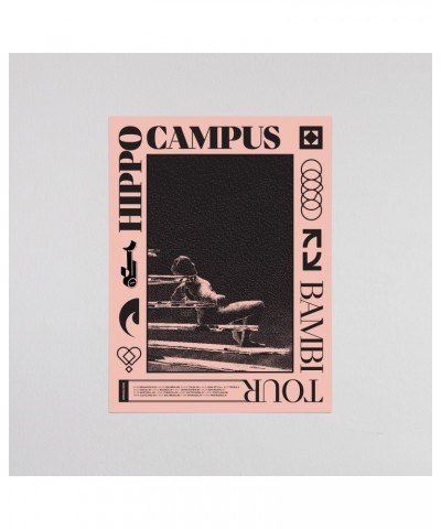 Hippo Campus BAMBI TOUR POSTER SPRING 2019 SIGNED $19.30 Decor