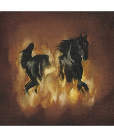 The Besnard Lakes ARE THE DARK HORSE Vinyl Record $8.97 Vinyl